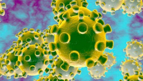 Phát hiện mới về sự lây nhiễm virus SARS CoV-2 từ người sang người