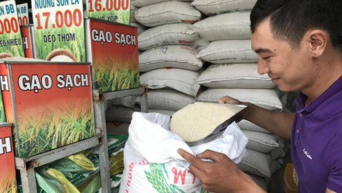 Giữ nguyên đề xuất xuất khẩu 400.000 tấn gạo trong tháng 4