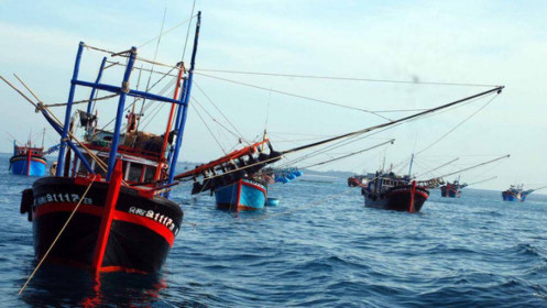 Mỹ ‘cực kỳ quan ngại’ việc Trung Quốc đâm chìm tàu Việt Nam ở Biển Đông