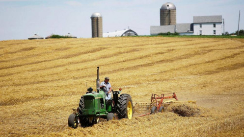 [Video] Mỹ công bố hỗ trợ nông dân 19 tỷ USD