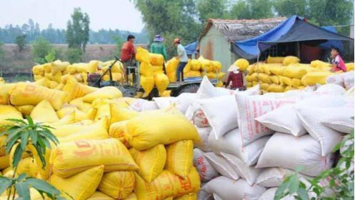Bộ Tài chính đề nghị Bộ Công an điều tra việc "trục lợi chính sách" quản lý xuất khẩu gạo