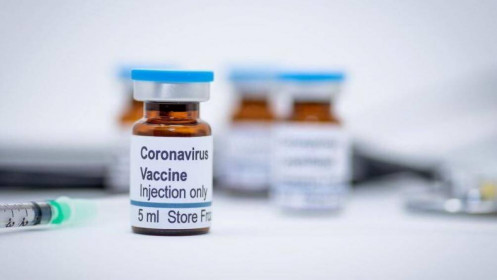 Trung Quốc thử nghiệm thành công vaccine COVID-19 trên khỉ