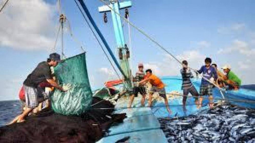 Lệnh dừng đánh cá của Trung Quốc không có giá trị ở vùng biển Việt Nam