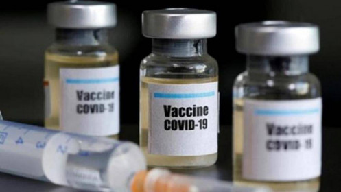Cuối tháng 5 Việt Nam có kết quả thử nghiệm vaccine COVID-19 trên chuột