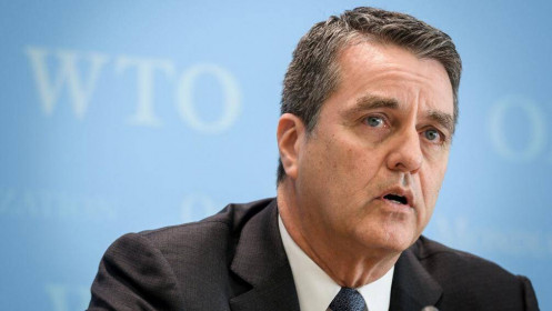 Tổng giám đốc WTO bất ngờ tuyên bố từ chức sớm