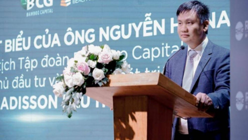 Nhảy vào năng lượng sạch, Bamboo Capital của ông Nguyễn Hồ Nam làm dự án điện mặt trời nghìn tỷ ở Bình Định