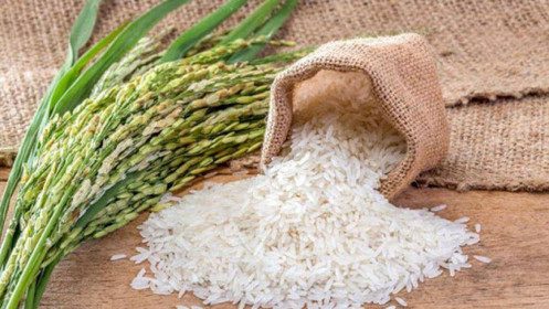 [Video] Nhu cầu về gạo và hạt từ Việt Nam của thị trường Châu Âu