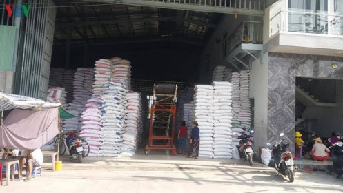 Sau khi tăng ở mức kỷ lục, giá gạo đã bắt đầu sụt giảm