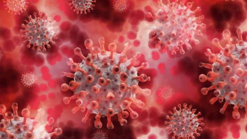 Virus SARS-CoV-2 đột biến khiến nó dễ lây sang người hơn