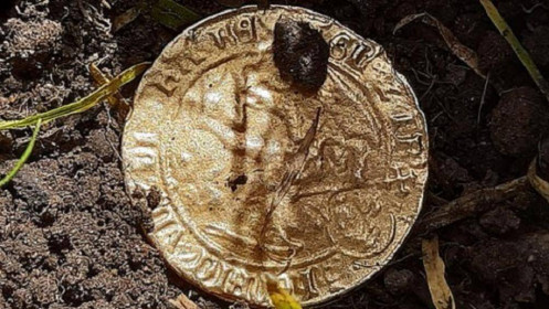 Tìm được đồng xu vàng 500 tuổi trị giá 2.500 bảng trong vườn nhà