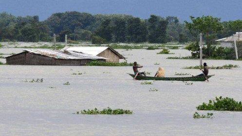 Lũ lụt ở Ấn Độ làm 110 người thiệt mạng, 5,4 triệu người bị ảnh hưởng