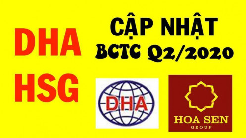 [Video] DHA, HSG - Cập nhật báo cáo tài chính siêu cổ phiếu quý 2/2020