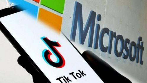 [Video] Microsoft và TikTok: Ai cần ai?