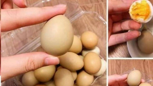 Bất ngờ loại trứng "dòng dõi quý tộc", đắt gấp 10 lần trứng gà, người mua phải đặt trước cả tuần