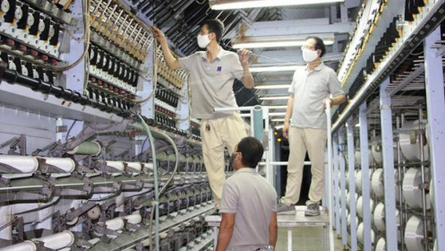 VNPOLY ''bắt tay' cung cấp sợi cho tập đoàn Adidas và Target