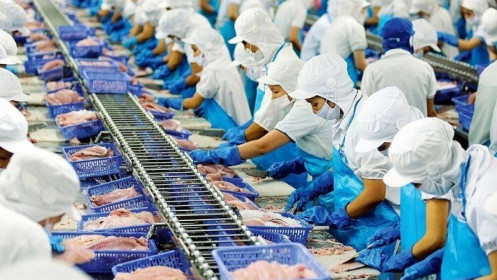 VHC – Sau quý 2 sẽ là gì?