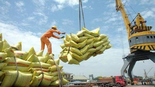 Giá gạo xuất khẩu Việt Nam leo lên mức cao nhất kể từ cuối năm 2011