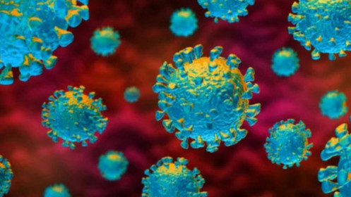 [Video] NÓNG: Phát hiện biến thể của virus SARS-CoV-2 lây lan nhanh gấp 10 lần