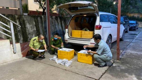 Lạng Sơn: Tạm giữ 3.300 chiếc khung xương điện thoại di động Trung Quốc