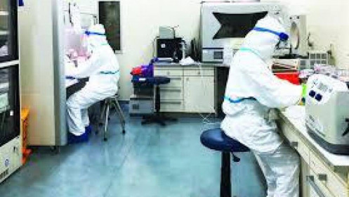 Ai Cập yêu cầu người nhập cảnh phải có xét nghiệm âm tính với virus SARS-CoV-2