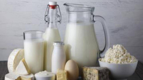 Cổ phiếu ngành sữa: Lựa chọn tốt cho chiến lược phòng thủ