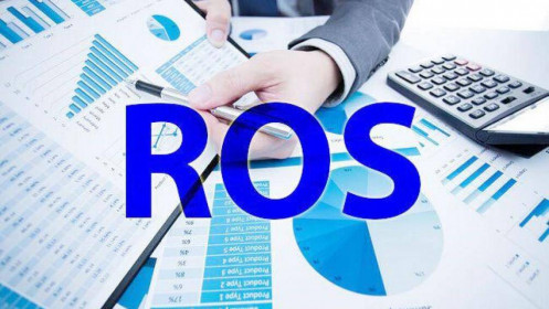 [Video] Bạn đã thực sự hiểu rõ về chỉ số ROS?