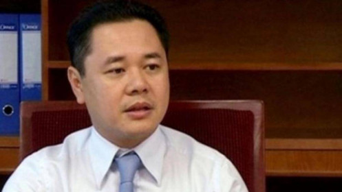 Ông Nguyễn Ngọc Cảnh được bổ nhiệm làm phó chủ tịch 'siêu ủy ban'