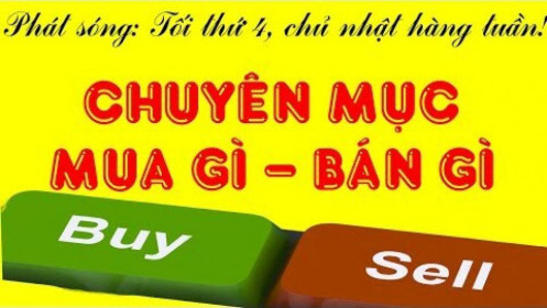 [Video] Mua gì bán gì 27/8: Cổ phiếu FLC, HPG, VPB, HAG, GEX, AAA, TDC