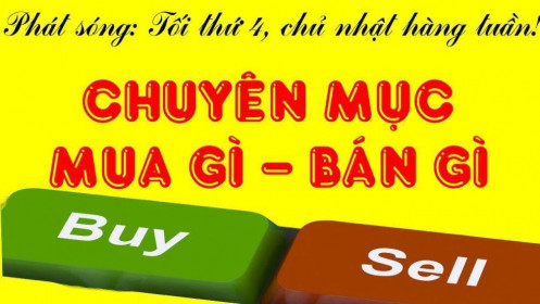 [Video] Mua gì bán gì tuần 31/8-06/09. Cập nhật phân tích kỹ thuật: VCB, VHM, SAB, VJC, PHR, AAA, HTN