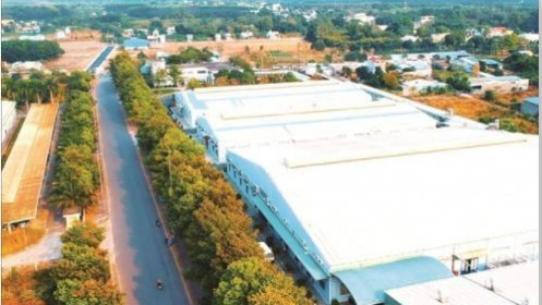 Gilimex trên vai Amazon