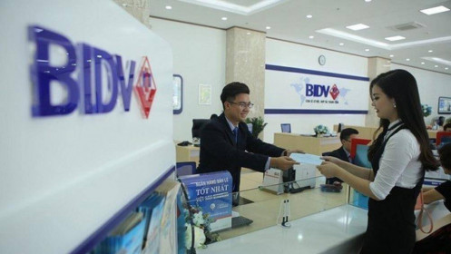 BIDV tiếp tục đấu giá khoản nợ của ‘bông hồng vàng’ Phú Yên và Công ty Nam Sơn