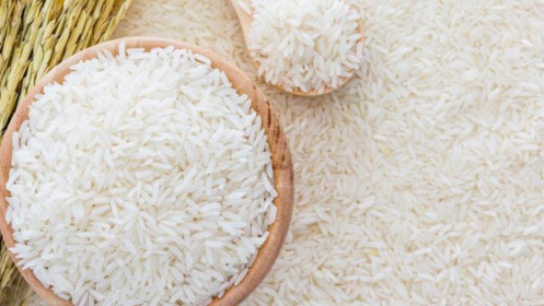 Hạt gạo Việt tại châu Âu: Khi "ngon, bổ, rẻ" là chưa đủ!