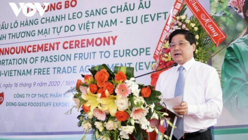 Gia Lai xuất khẩu lô chanh leo đầu tiên theo Hiệp định EVFTA sang EU