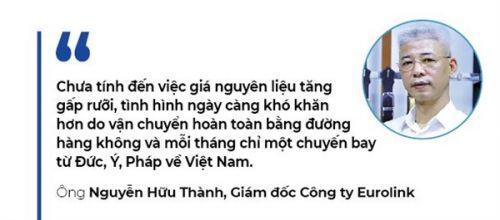 Dệt may chưa bay trên "thảm thần" EVFTA