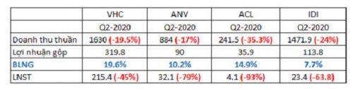 VHC – Sau quý 2 sẽ là gì?