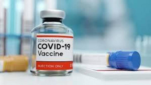 WHO: Vaccine ngừa Covid-19 có thể sẵn sàng vào cuối năm 2020