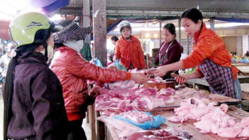 Lợn hơi giảm giá nhưng người tiêu dùng vẫn khó mua được thịt giá rẻ