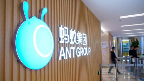 Vay ký quỹ để mua cổ phiếu IPO của Ant Group, nhiều nhà đầu tư nhận trái đắng