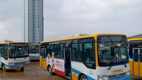 Bị nợ lương, nhân viên xe buýt trợ giá ở Đà Nẵng đình công