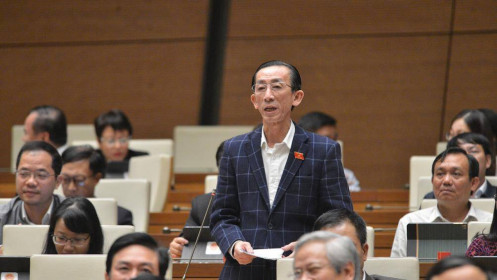 Đại biểu Trần Hoàng Ngân: Quốc hội nên thay đổi cách thảo luận