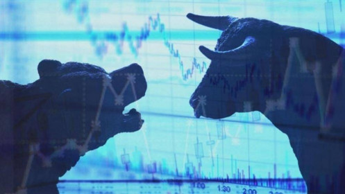 Nhịp đập Thị trường 11/11: VN-Index tăng nhẹ