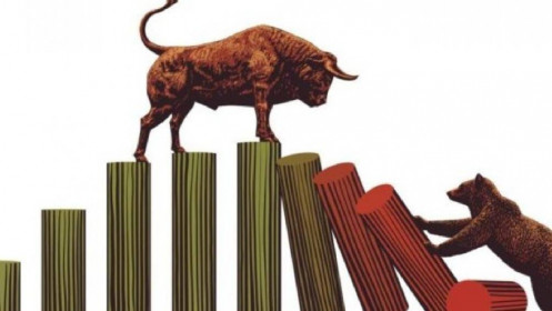 Nhịp đập Thị trường 16/11: VN-Index “rớt” hơn 15 điểm