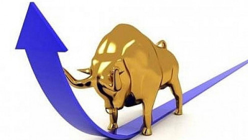 Nhịp đập Thị trường 23/11: VN-Index lấy lại đà tăng
