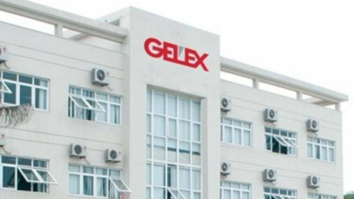 GEX sắp bán ESOP 12 triệu cổ phiếu quỹ, giá 12,000 đồng/cp