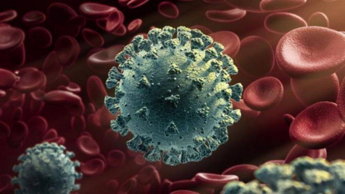 Biến thể mới của virus Corona ở Anh có thể đã xuất hiện ở Mỹ