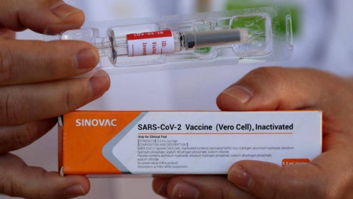 Ukraine mua gần 2 triệu liều vaccine Sinovac của Trung Quốc