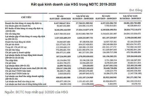 HSG: Lãi sau thuế 1,151 tỷ đồng trong niên độ 2019-2020, gấp 3.2 lần niên độ trước