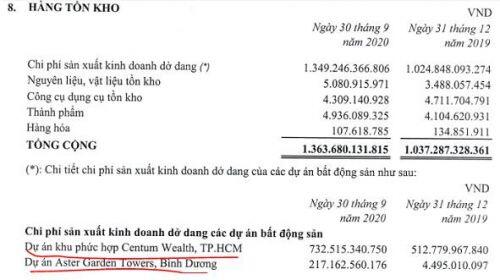 View nhanh BCTC quý 3 của TDH