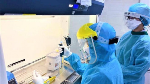 Nóng: Việt Nam phát hiện chủng vi rút SARS- CoV-2 biến thể của Anh trên BN1435