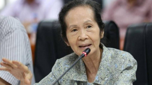 Bà Phạm Chi Lan: Tư duy và hành động trong thập kỉ mới cần thay đổi quyết liệt như khi chống dịch